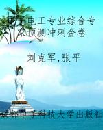 电子电工专业综合专家
