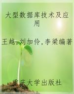 大型数据库技术及应用