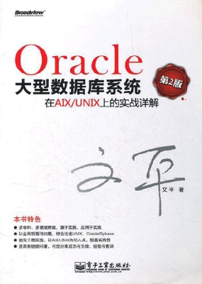 Oracle大型数据库系统