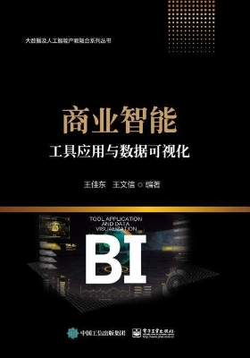 商业智能工具应用与数