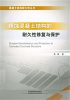 锈蚀混凝土结构的耐久
