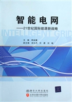 智能电网——21世纪国