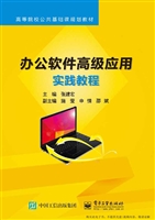 办公软件高级应用实践