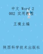 中文 Word 2002 实用