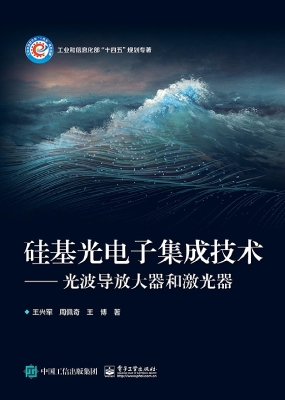 硅基光电子集成技术—