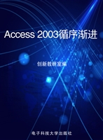 Access 2003循序渐进