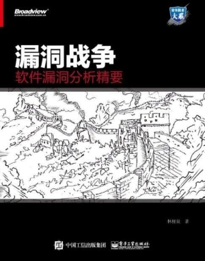 漏洞战争软件漏洞分析