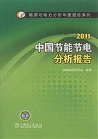 中国节能节电分析报告