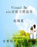 Visual Basic实验习题
