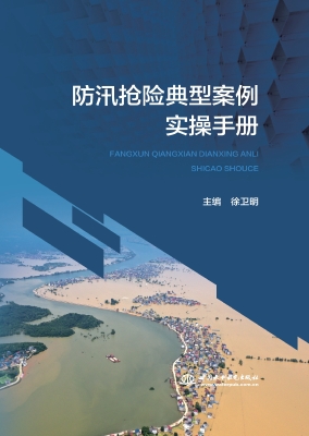 防汛抢险典型案例实操