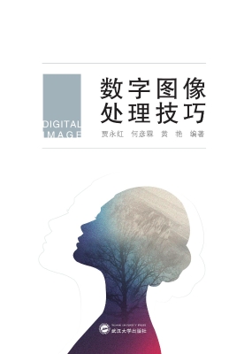 数字图像处理技巧