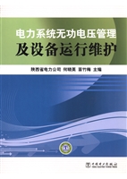 电力系统无功电压管理