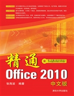 精通Office 2010中文