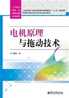 电机原理与拖动技术