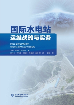 国际水电站运维战略与