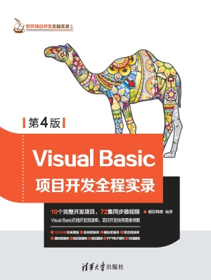 Visual Basic项目开发