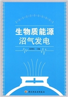 生物质能源沼气发电