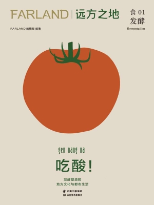 远方之地：吃酸！发酵塑造
