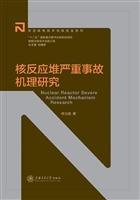 核反应堆严重事故机理