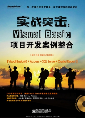 实战突击：Visual Basic