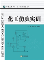 化工仿真实训