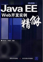 Java EE Web开发实例