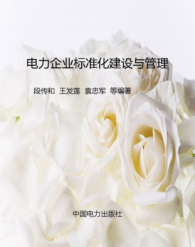 电力企业标准化建设与
