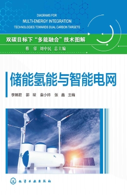 储能氢能与智能电网