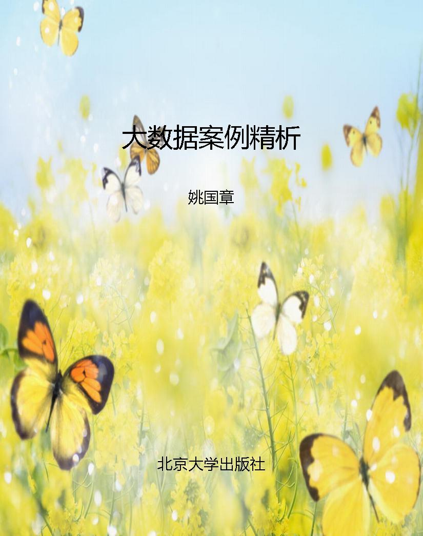 大数据案例精析
