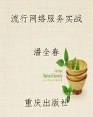 流行网络服务实战