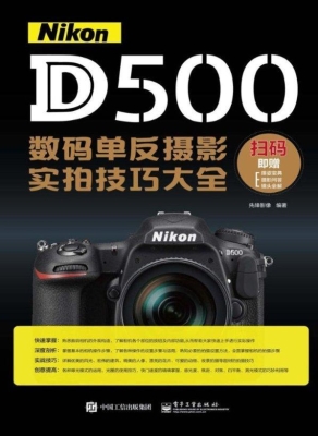 Nikon D500数码单反摄