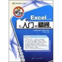 畅通无阻：Excel从入门