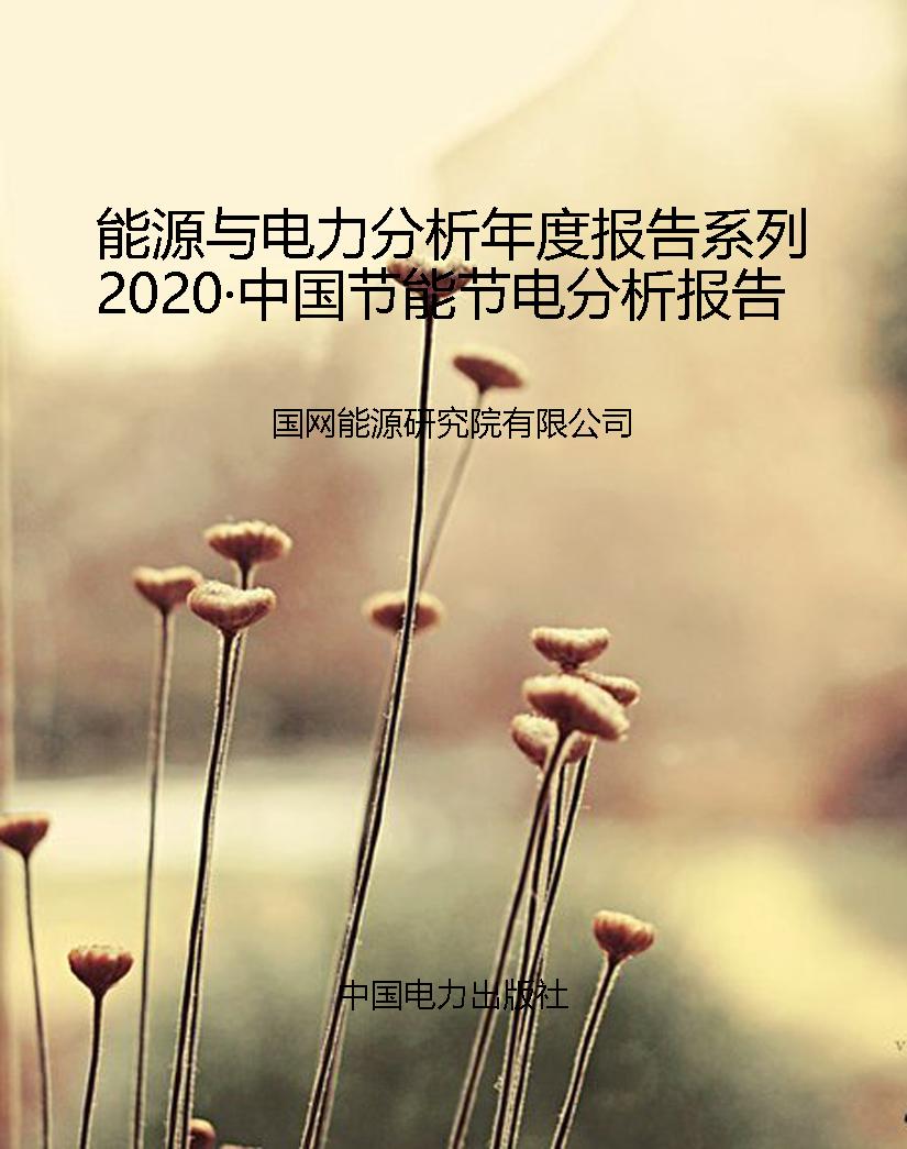 能源与电力分析年度报