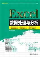 Excel数据处理与分析