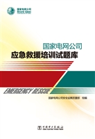 国家电网公司应急救援
