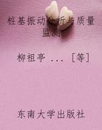 桩基振动分析与质量监