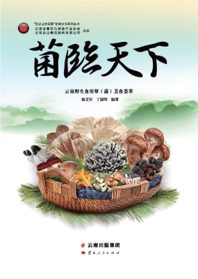 菌临天下——云南野生
