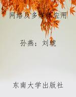 网络及多媒体应用