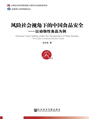 风险社会视角下的中国