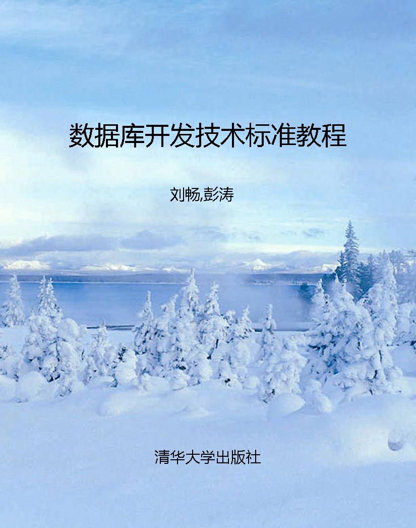 数据库开发技术标准教