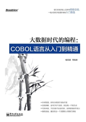 大数据时代的编程：COBO