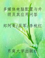 多媒体电脑配置与升级