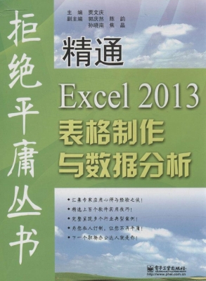 精通Excel 2013表格制