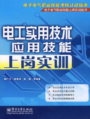电工实用技术应用技能