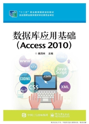 数据库应用基础（Access