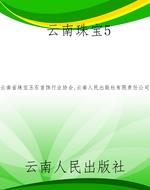 云南珠宝5