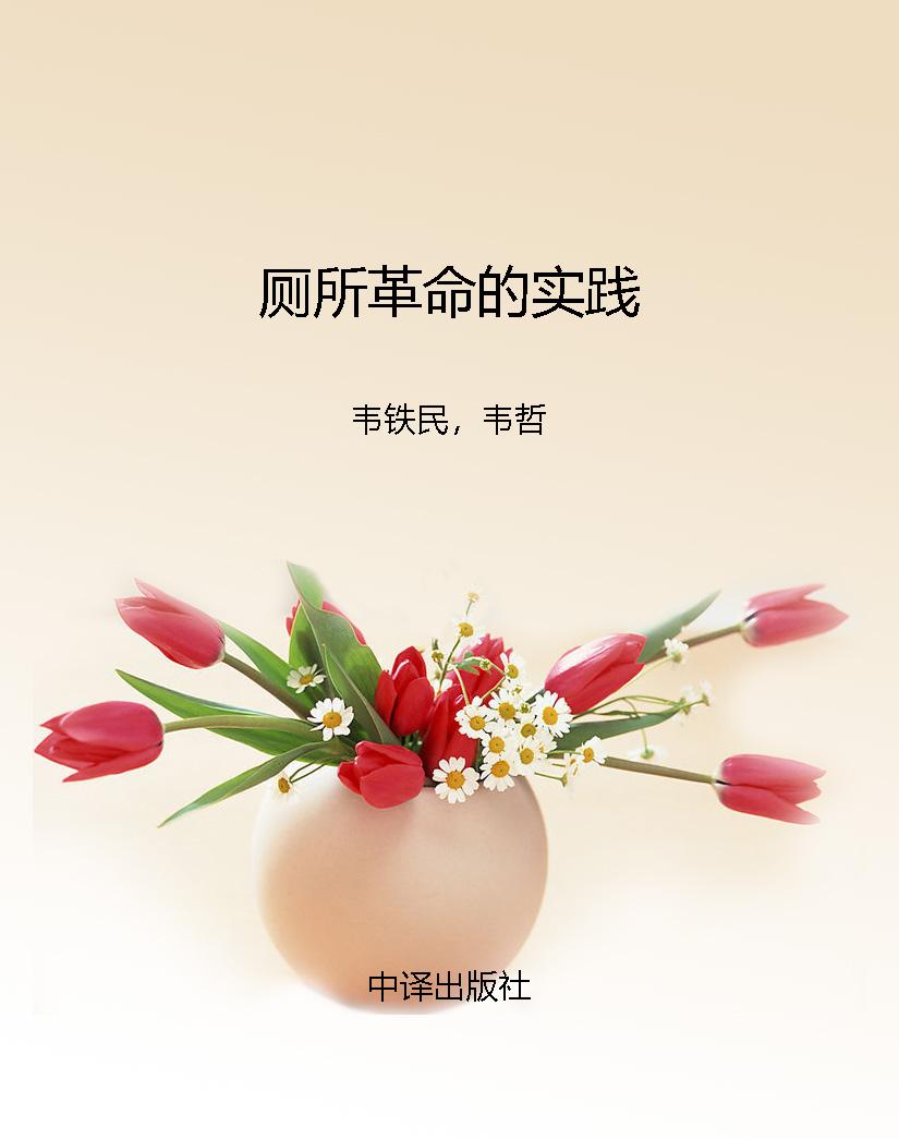 厕所革命的实践