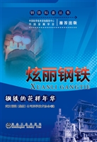 炫丽钢铁