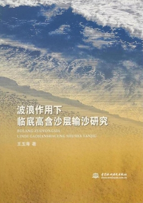波浪作用下临底高含沙