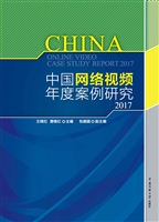 中国网络视频年度案例